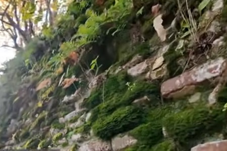 Parisin Luvr muzeyində təmsil olunan Lənkəran qalası - VİDEO