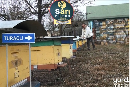 Qarabağ müharibəsindən arıçılığa: “Sarı Pətək”in hekayəsi - VİDEO