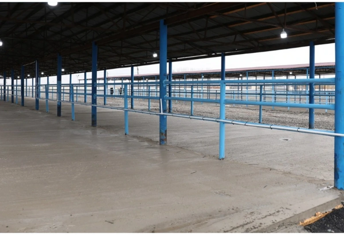 Bu rayonda mal bazarı bərpa olundu - FOTO