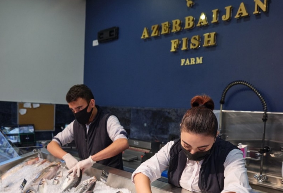 Azərbaycanın aparıcı balıqçılıq müəssisəsi yenidən təşkil edilir