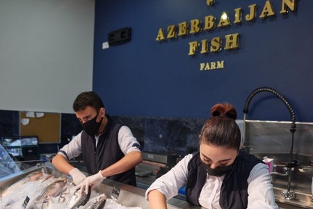 Azərbaycanın aparıcı balıqçılıq müəssisəsi yenidən təşkil edilir