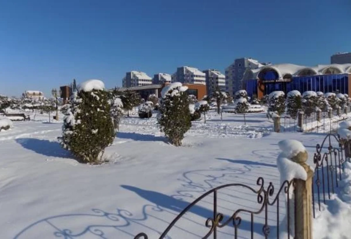 Yeni ili bölgələrdəki istirahət mərkəzlərində qarşılamağın xərci - ARAŞDIRMA