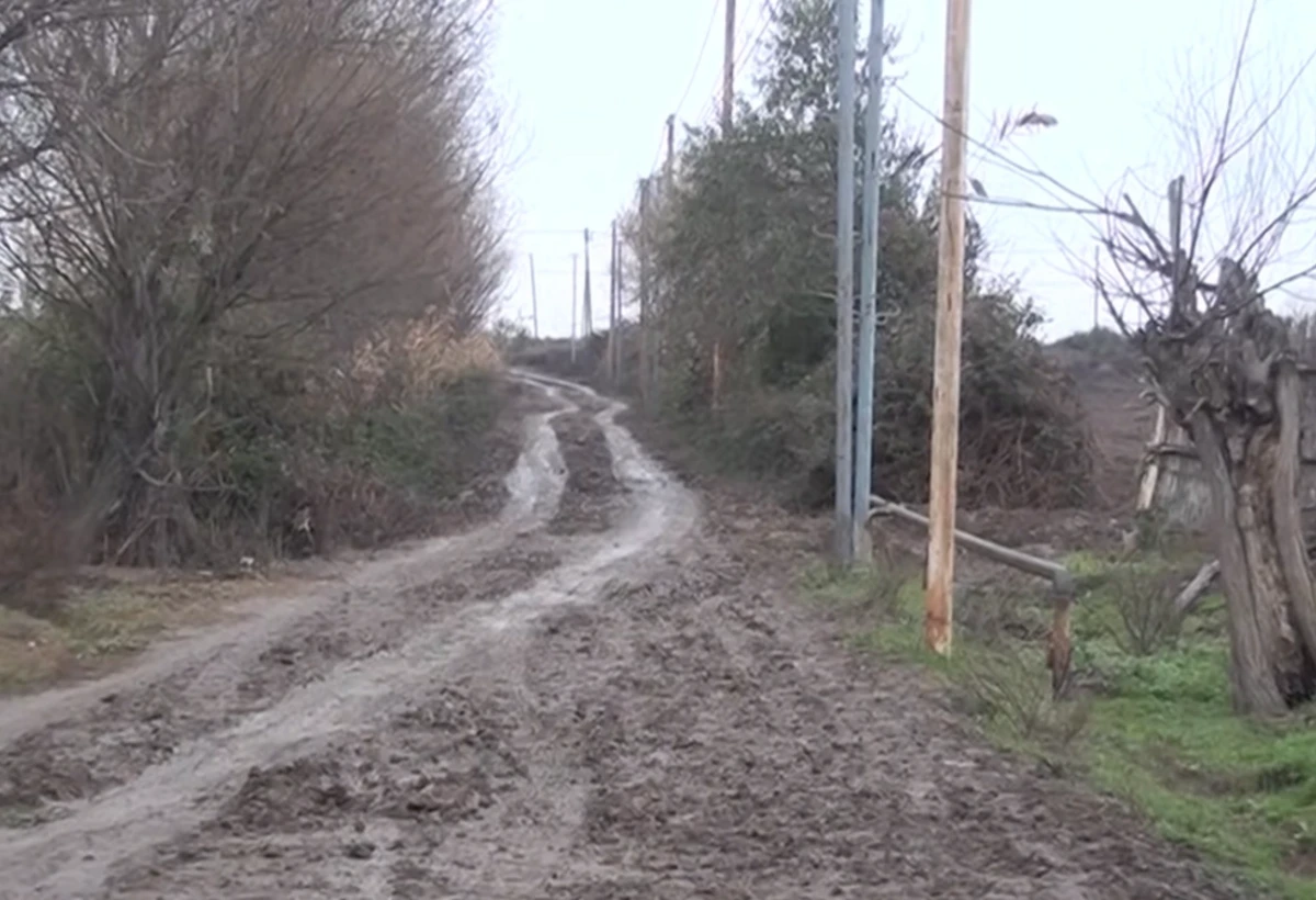 Mağazaya çörək almağa gedə bilmirik, mal-qara da palçıq içində - VİDEO