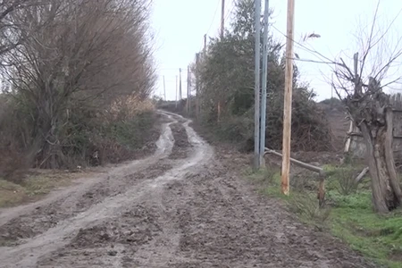 Mağazaya çörək almağa gedə bilmirik, mal-qara da palçıq içində - VİDEO