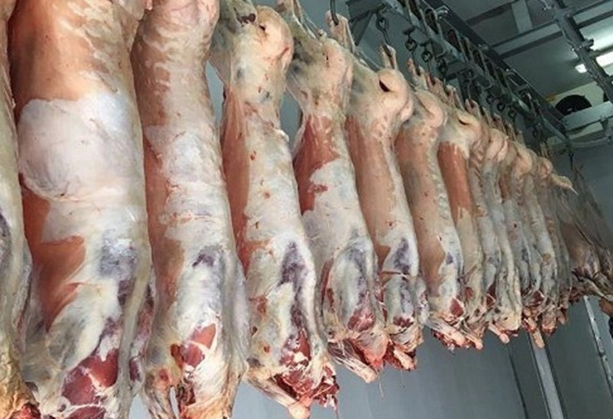 Bu il Monqolustandan Azərbaycana 100 tondan çox quzu əti gətirilib