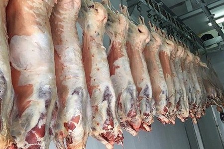 Bu il Monqolustandan Azərbaycana 100 tondan çox quzu əti gətirilib