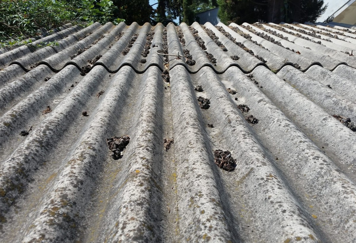 Bu tikinti materialı sağlamlığa təhlükədir - Azərbaycanda QADAĞA OLACAQ