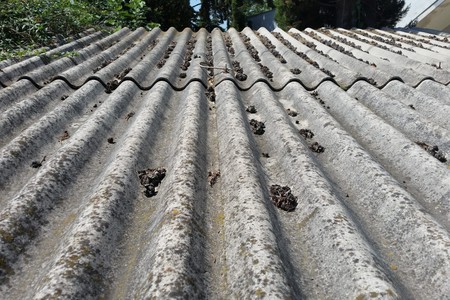 Bu tikinti materialı sağlamlığa təhlükədir - Azərbaycanda QADAĞA OLACAQ