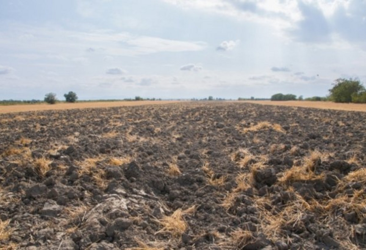 Xızı, Gəncə, Göygöl və Yardımlıda torpaq almaq istəyənlərin DİQQƏTİNƏ