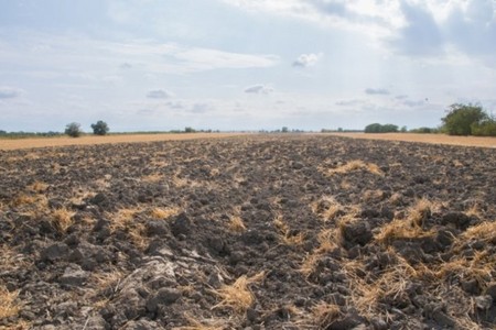 Xızı, Gəncə, Göygöl və Yardımlıda torpaq almaq istəyənlərin DİQQƏTİNƏ