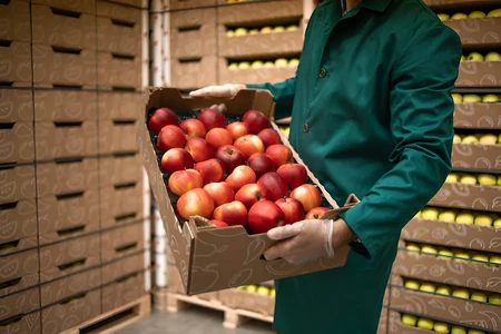 Azərbaycan alma ixracını artırıb