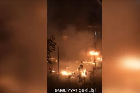 Bakıda ağaclıqda başlayan yanğının binalara keçmə təhlükəsi yarandı - VİDEO
