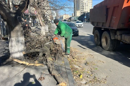 Güclü külək Bakıda ağacları sındırdı
