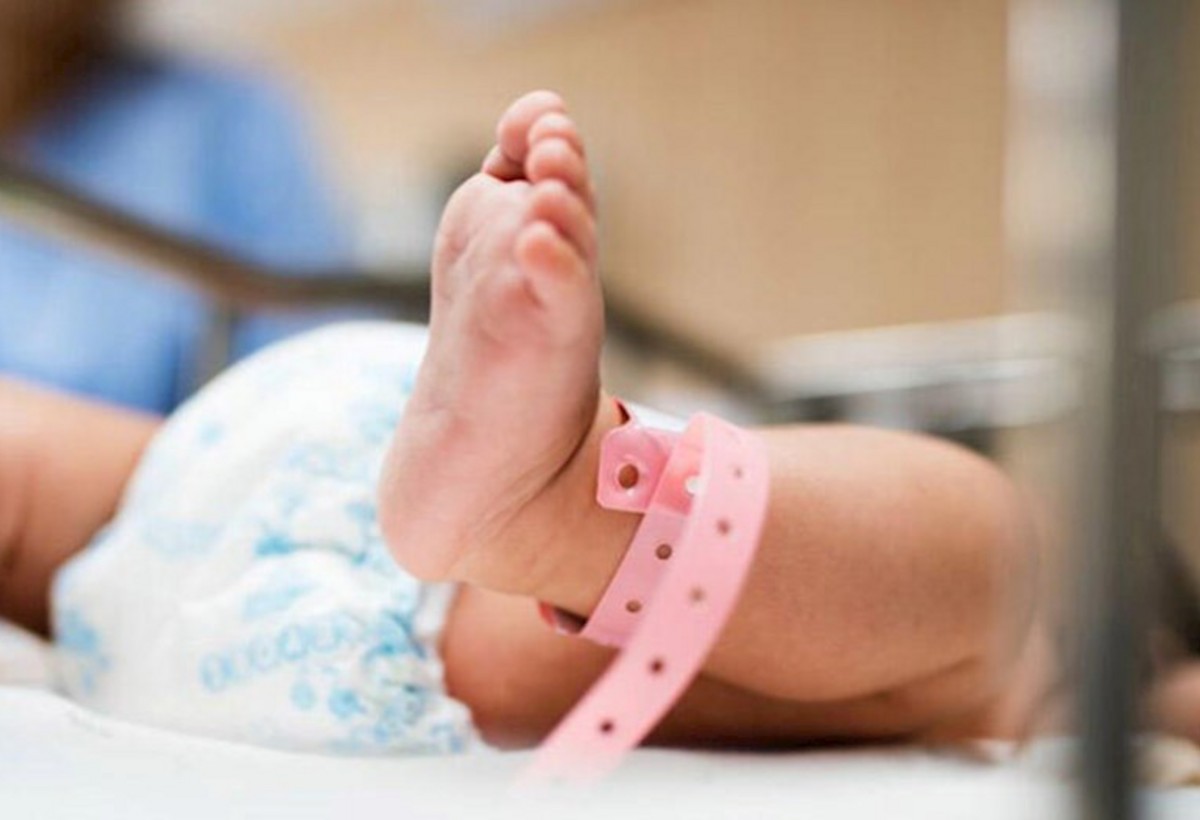 2026-cı ilin ilk körpələri - FOTO