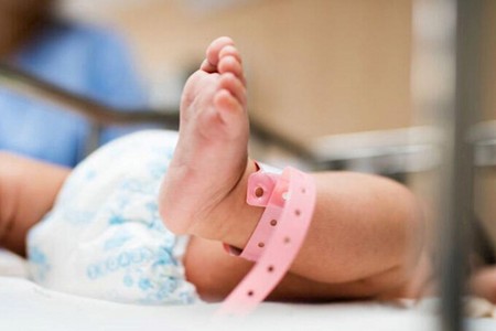 2026-cı ilin ilk körpələri - FOTO