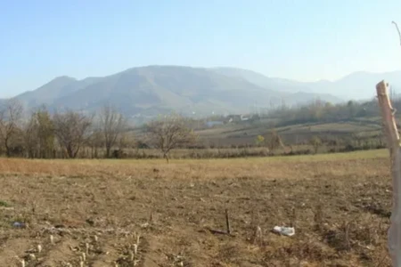 Gələn ay 32 torpaq hərracı keçiriləcək