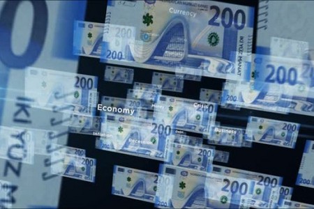 Ödəniş təşkilatı nizamnamə kapitalını artırdı