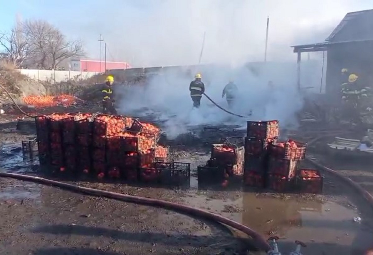 Zaqatalada xurma istehsalı sexi YANIB