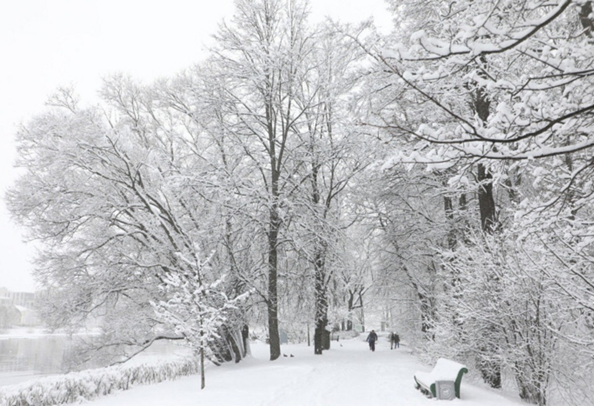 Şahbuzda qarın hündürlüyü 48 sm-ə çatdı - FAKTİKİ HAVA