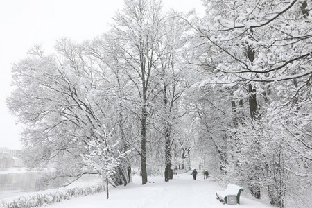 Şahbuzda qarın hündürlüyü 48 sm-ə çatdı - FAKTİKİ HAVA