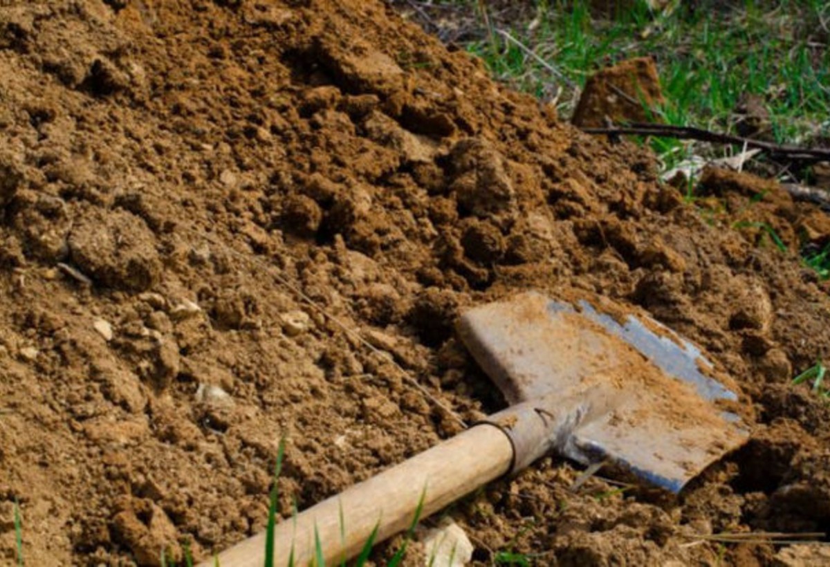 Güllələyərək öldürüb, sonra basdırıb - 2 il əvvəlki CİNAYƏTİN ÜSTÜ AÇILDI