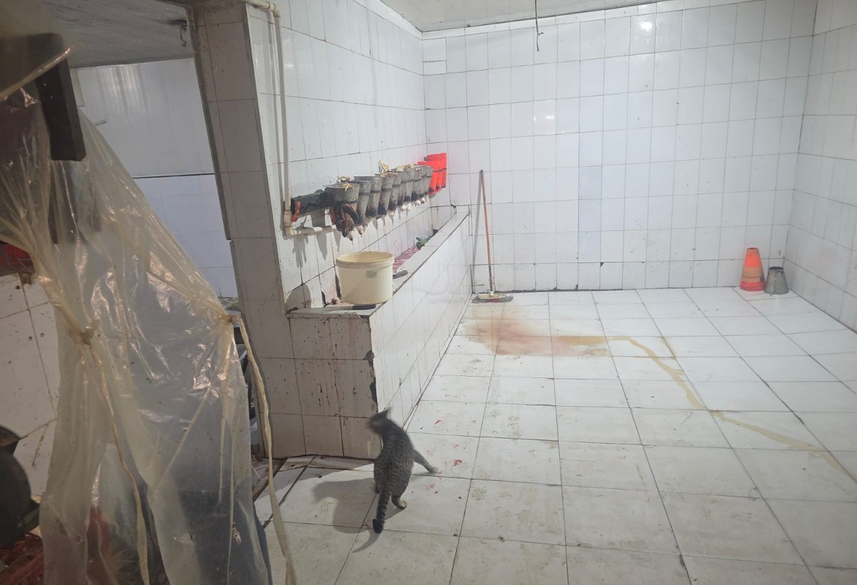 Sular tavandan birbaşa qida məhsullarının üzərinə tökülür - SEXDƏ ANTİSANİTARİYA