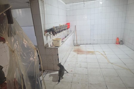 Sular tavandan birbaşa qida məhsullarının üzərinə tökülür - SEXDƏ ANTİSANİTARİYA