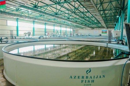 “PAŞA Holdinq”in balıqartırma zavodu təşkilatı-hüquqi formasını dəyişir