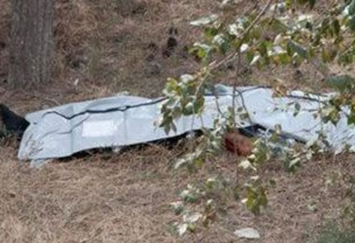 Ağsulu çobanın meyiti Ağcabədidə meşədən tapıldı