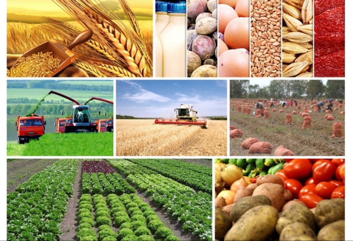 Azərbaycan ötən il 1 milyard dollarlıq aqrar məhsul ixrac edib