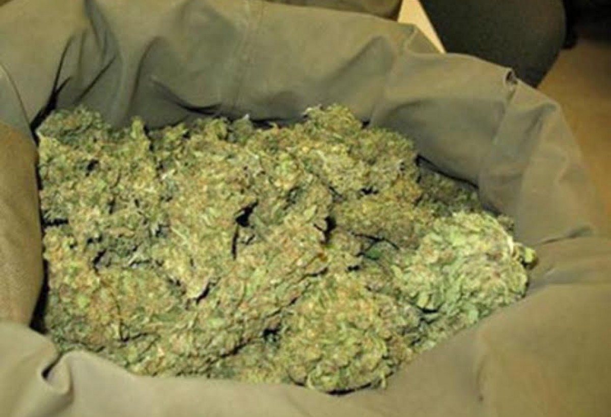 Sumqayıtda 3 nəfərdən 13 kiloqram marixuana aşkarlandı