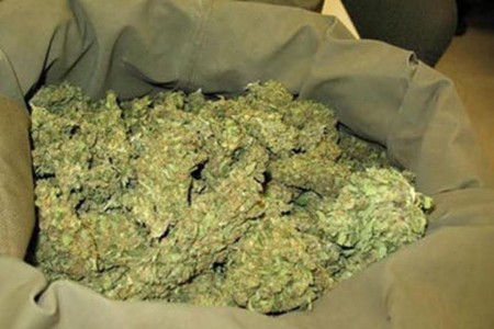 Sumqayıtda 3 nəfərdən 13 kiloqram marixuana aşkarlandı