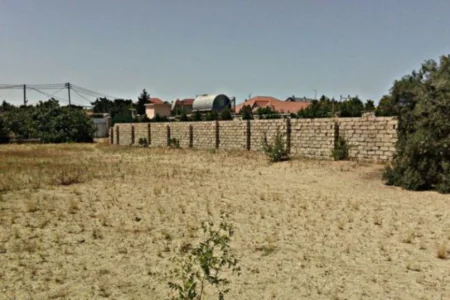 Bələdiyyə sənədi ilə torpaq alanların DİQQƏTİNƏ - VİDEO