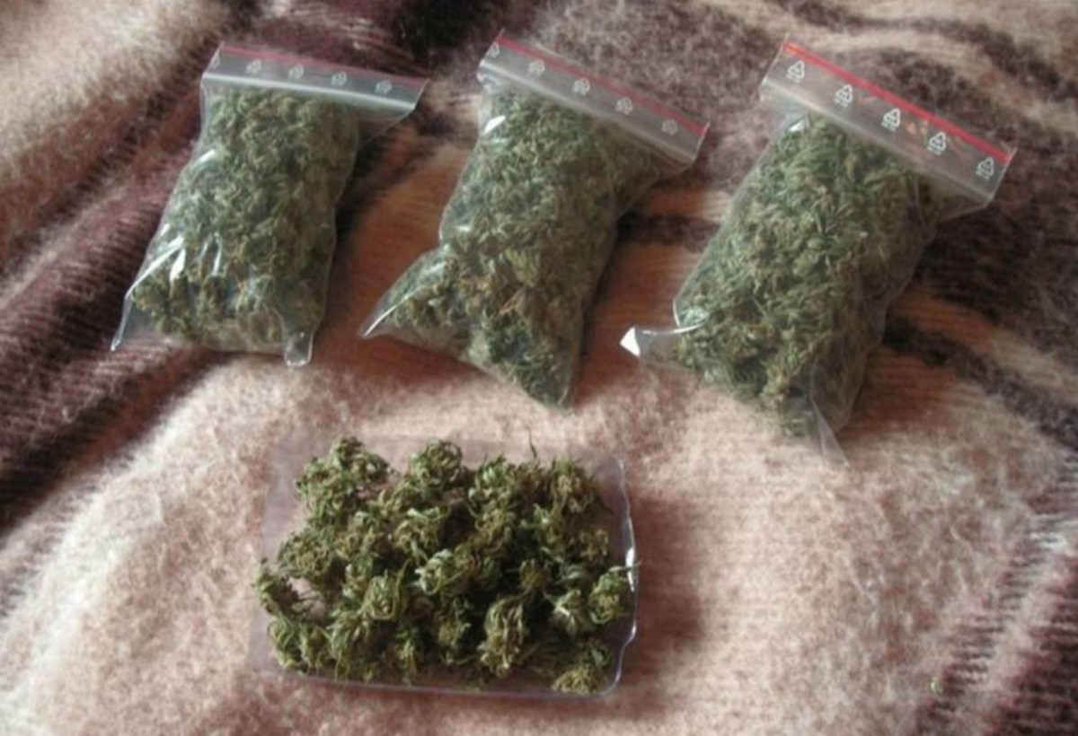 Masallıda 2 nəfərdən 9 kq marixuana aşkarlandı