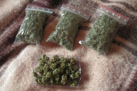 Masallıda 2 nəfərdən 9 kq marixuana aşkarlandı