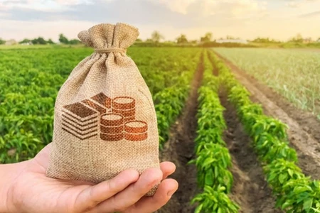 Kənd təsərrüfatına verilən subsidiyalar effektiv olmayıb - VİDEO