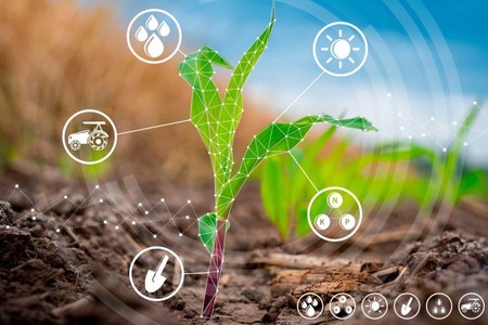 Kənd təsərrüfatının zəif inkişafının səbəbi idarəetmə problemləri ilə bağlıdır - VİDEO