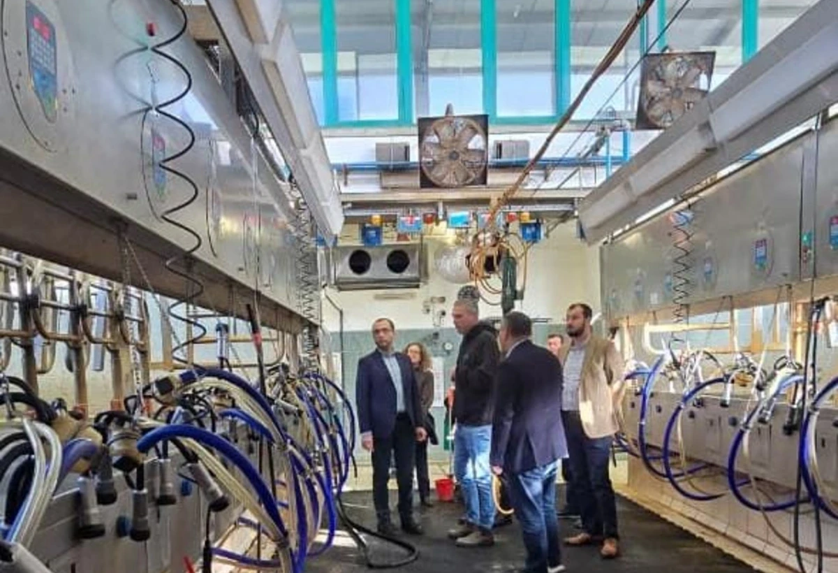 Azərbaycan süd emalı sahəsində İsrail təcrübəsini öyrənir