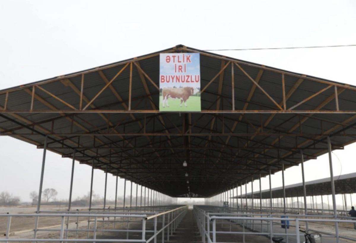 Daha bir rayonda mal bazarı yenilənərək açıldı