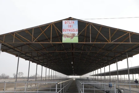 Daha bir rayonda mal bazarı yenilənərək açıldı