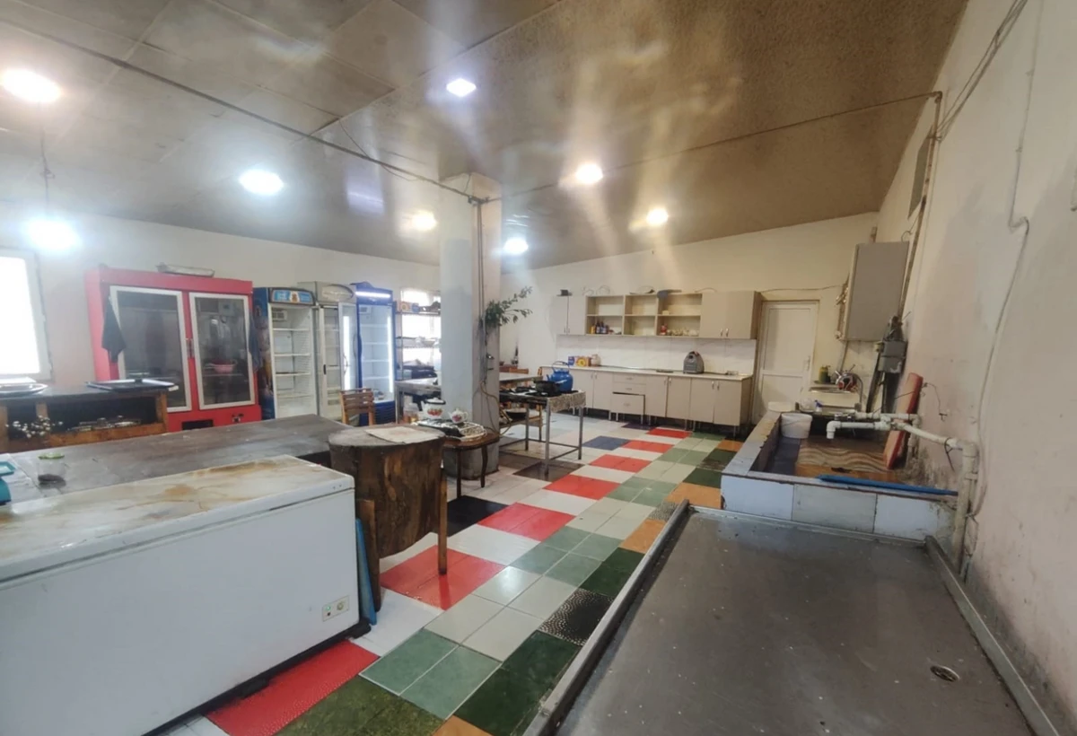 Novxanıda balıq restoranının mətbəxində natəmizlik - OBYEKT BAĞLANDI