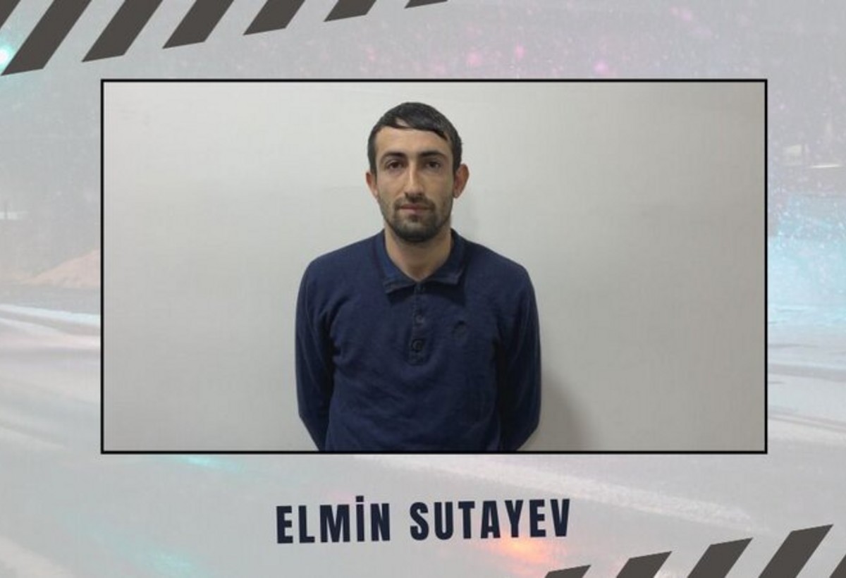 Qaxda mal-qara dələduzu həbs olundu