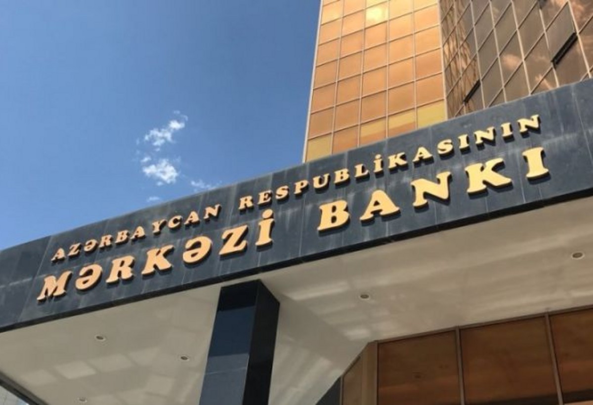 Mərkəzi Bankın Elnarə Nəbiyevanın rəhbəri olduğu şirkəti cərimələk cəhdi baş tutmadı