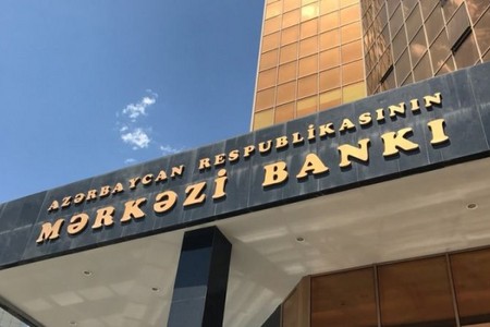 Mərkəzi Bankın Elnarə Nəbiyevanın rəhbəri olduğu şirkəti cərimələk cəhdi baş tutmadı