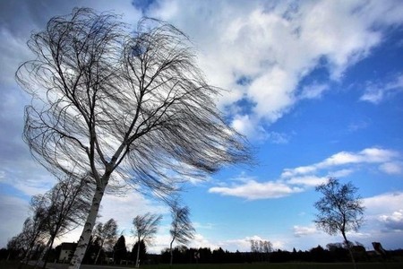 Sabaha küləkli hava ilə bağlı XƏBƏRDARLIQ
