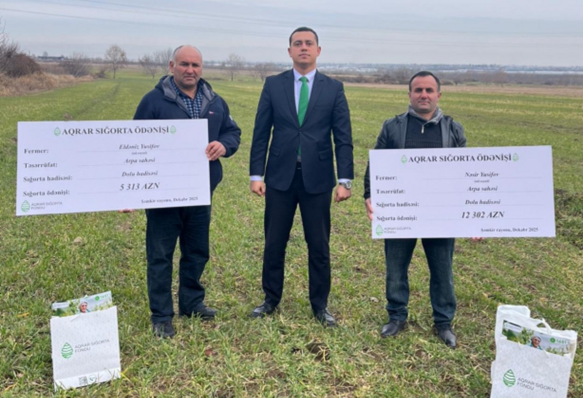 Ziyan görmüş arpa və şaftalı sahələri üzrə SIĞORTA ÖDƏNİLİB