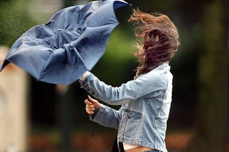 Küləkli hava şəraiti ilə bağlı SARI XƏBƏRDARLIQ