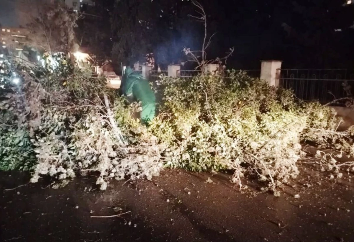 Bakıda güclü küləyin FƏSADLARI - FOTO