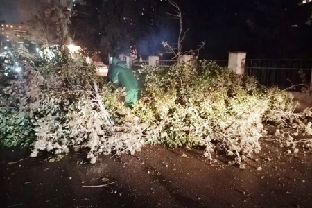 Bakıda güclü küləyin FƏSADLARI - FOTO