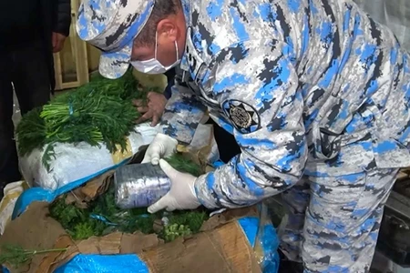 İrandan Rusiyaya aparılan göyərtidən 50 kq-dan çox marixuana çıxdı - FOTO